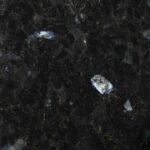 labrador_black
